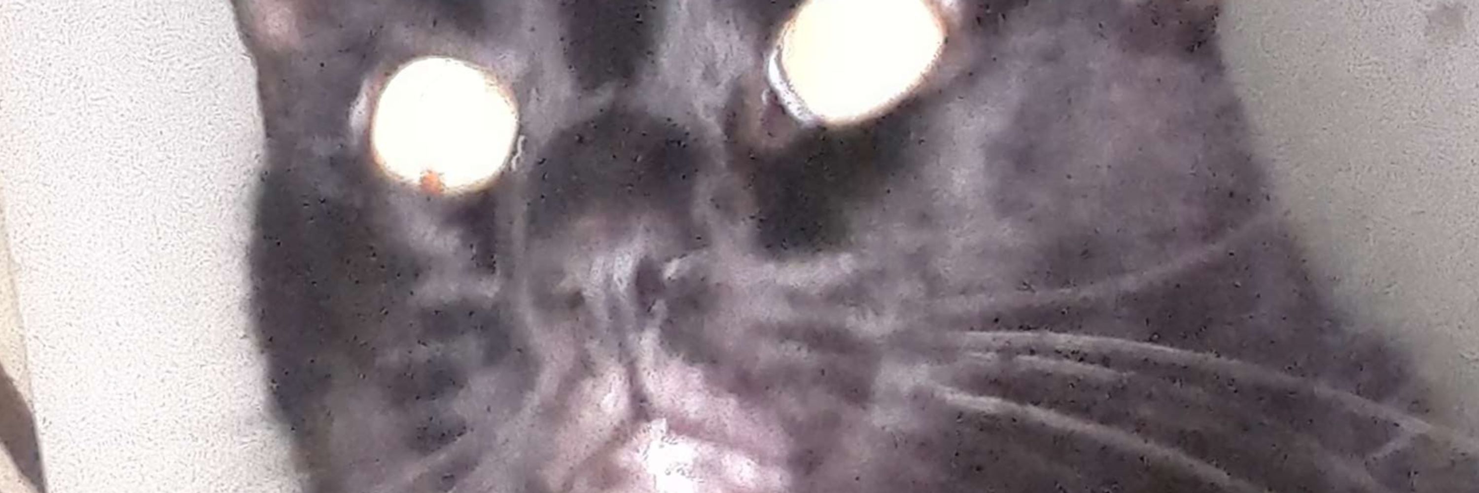 Ethan