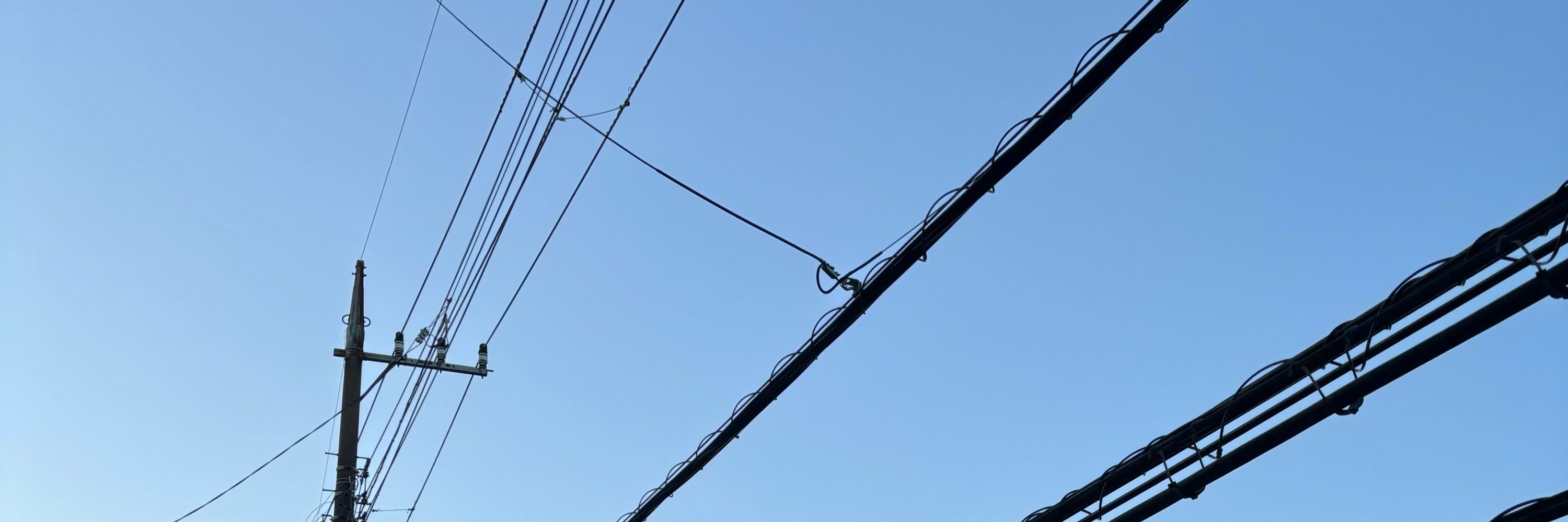 湯葉