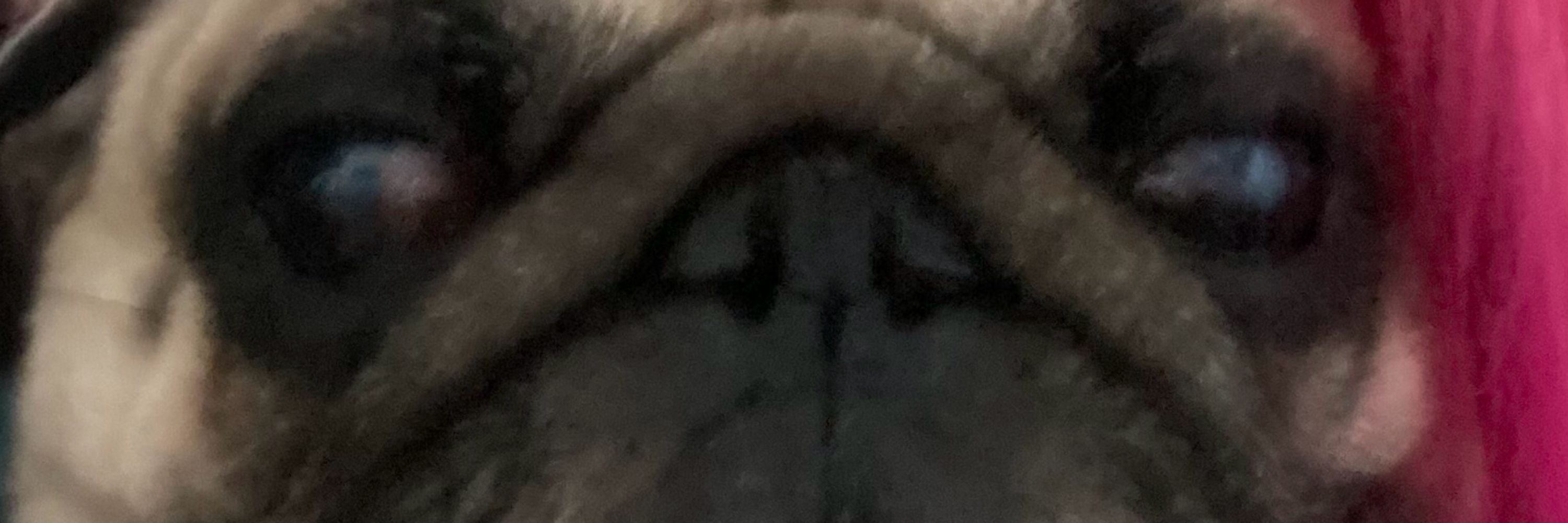 Mona