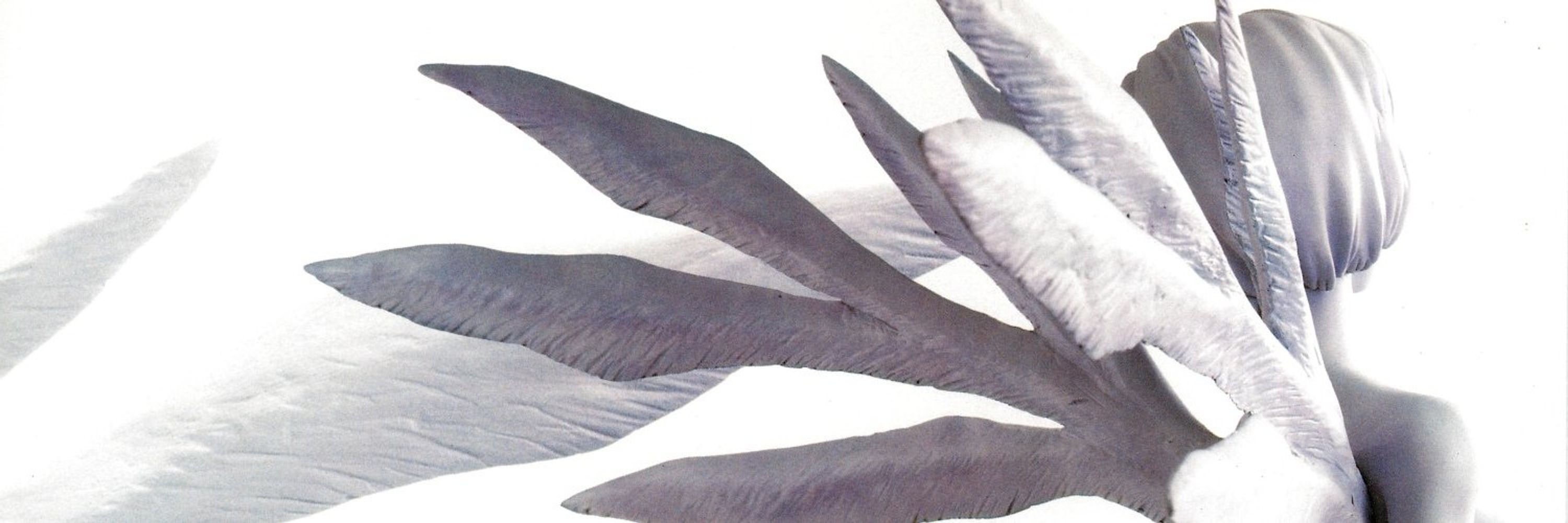 zorayas