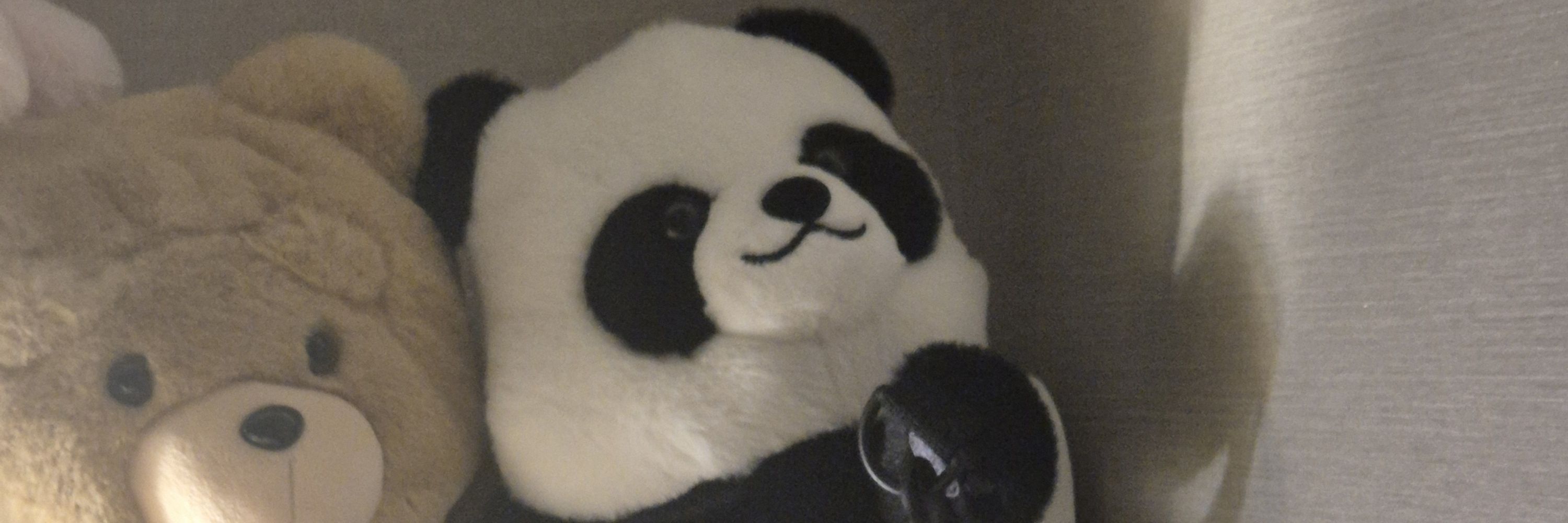 물냥이