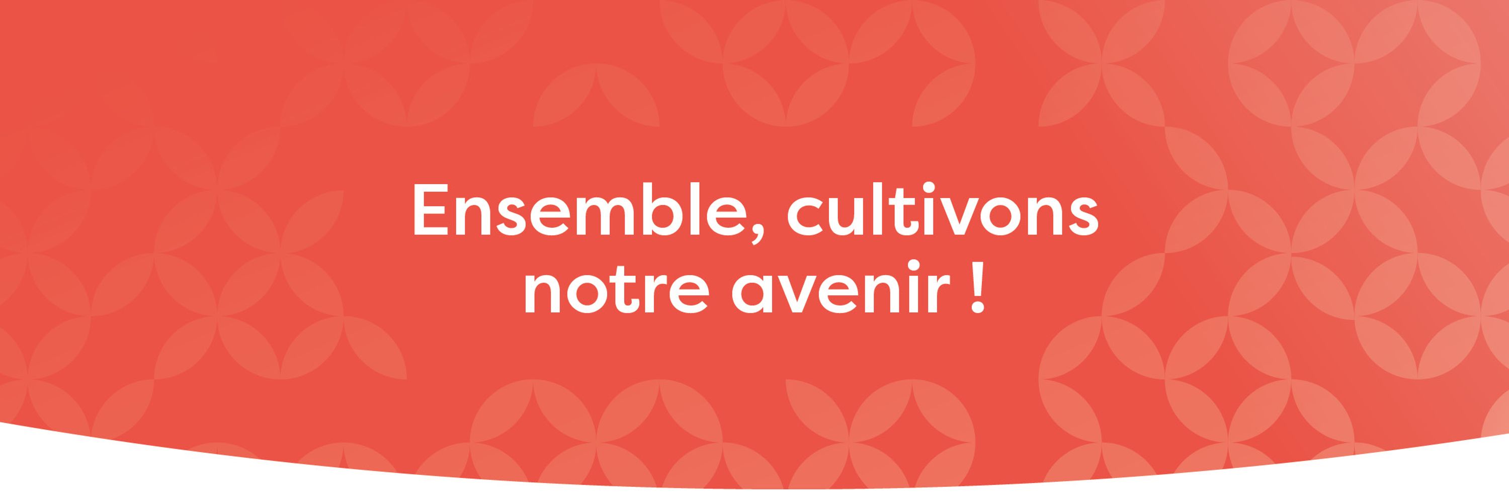 Avignon Université