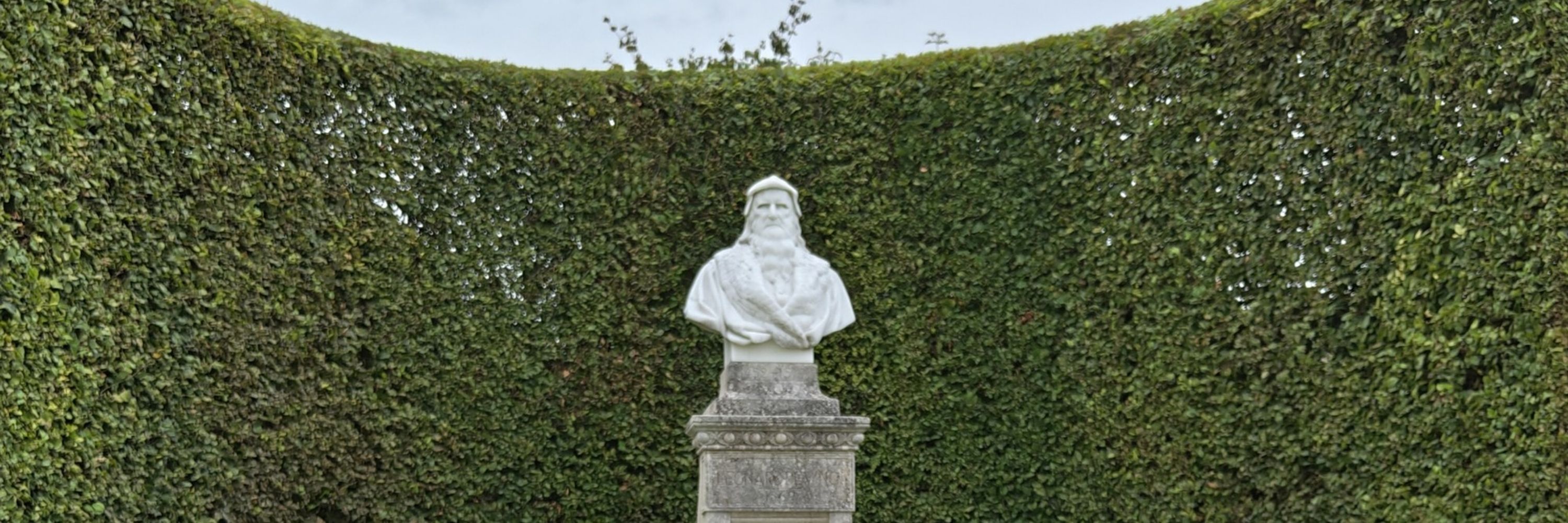 DarkFerri
