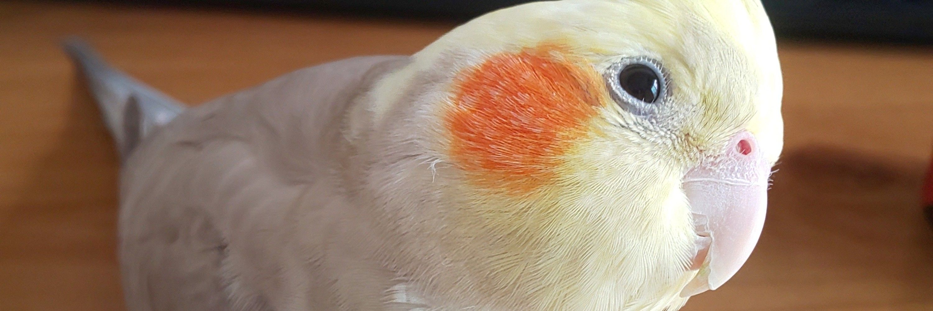 コイル