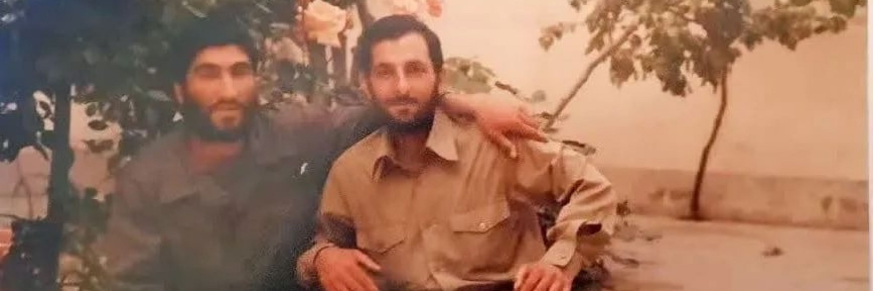 شَـــقایِق