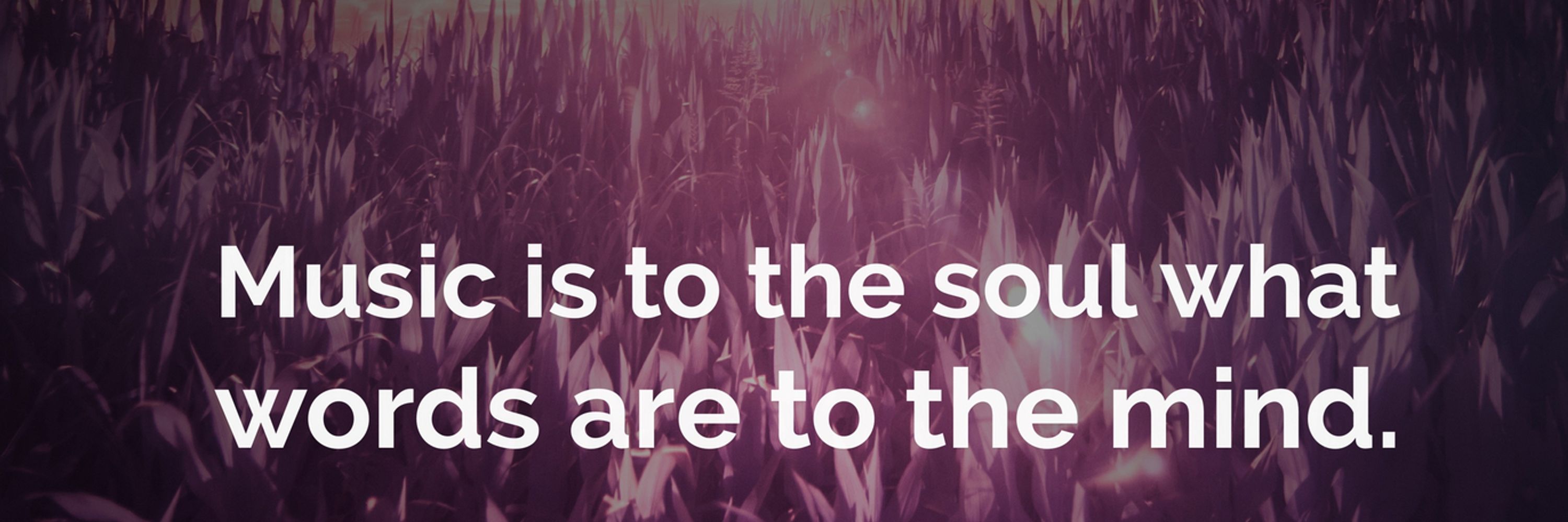 The World of Music