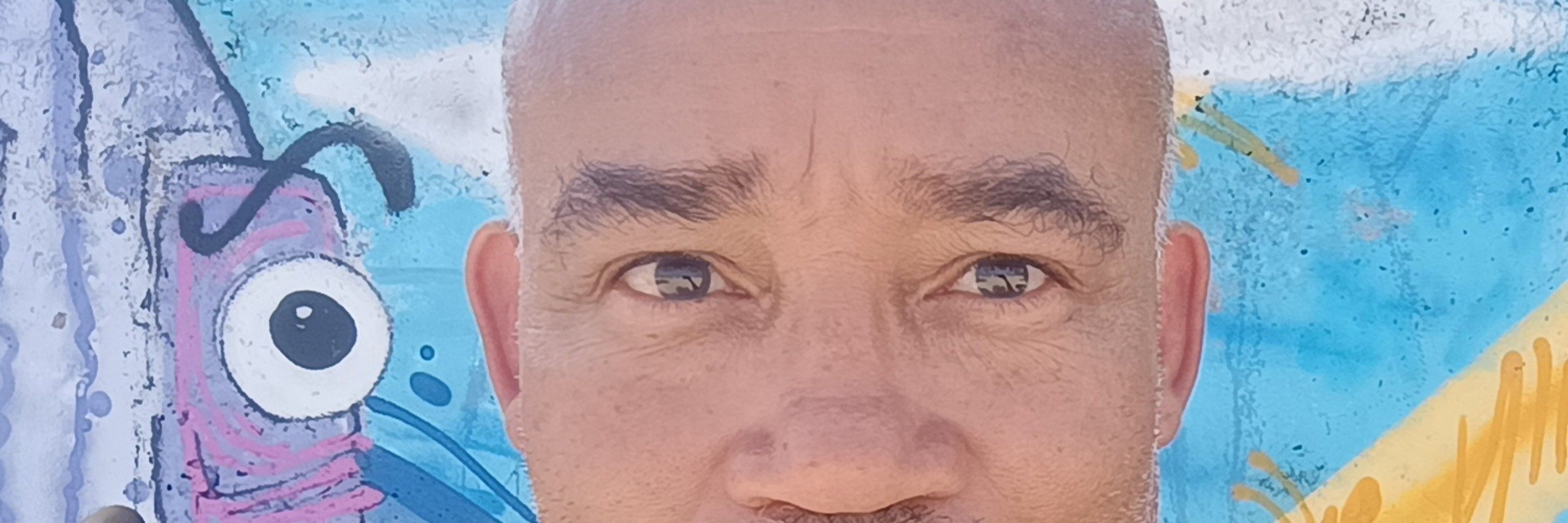 ZenBraZilis 