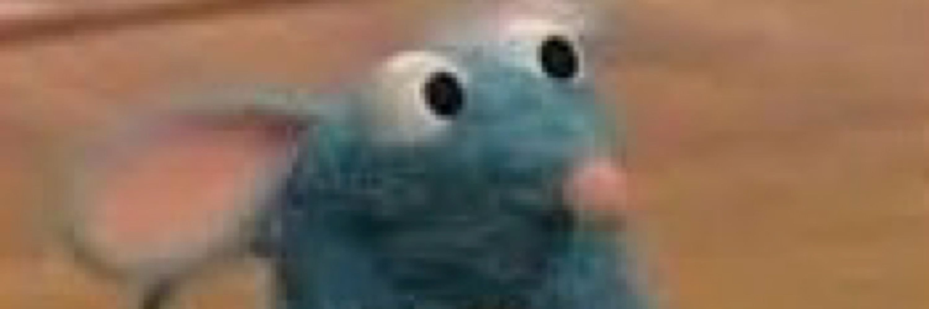 tutter