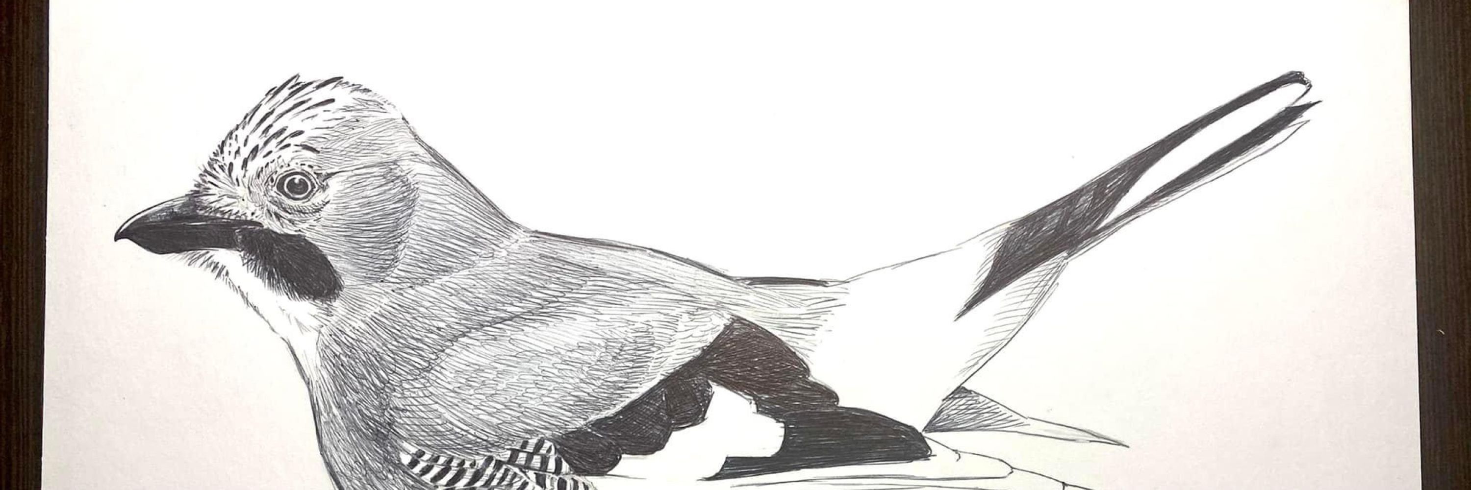 Guillermo García-Saúco Sánchez