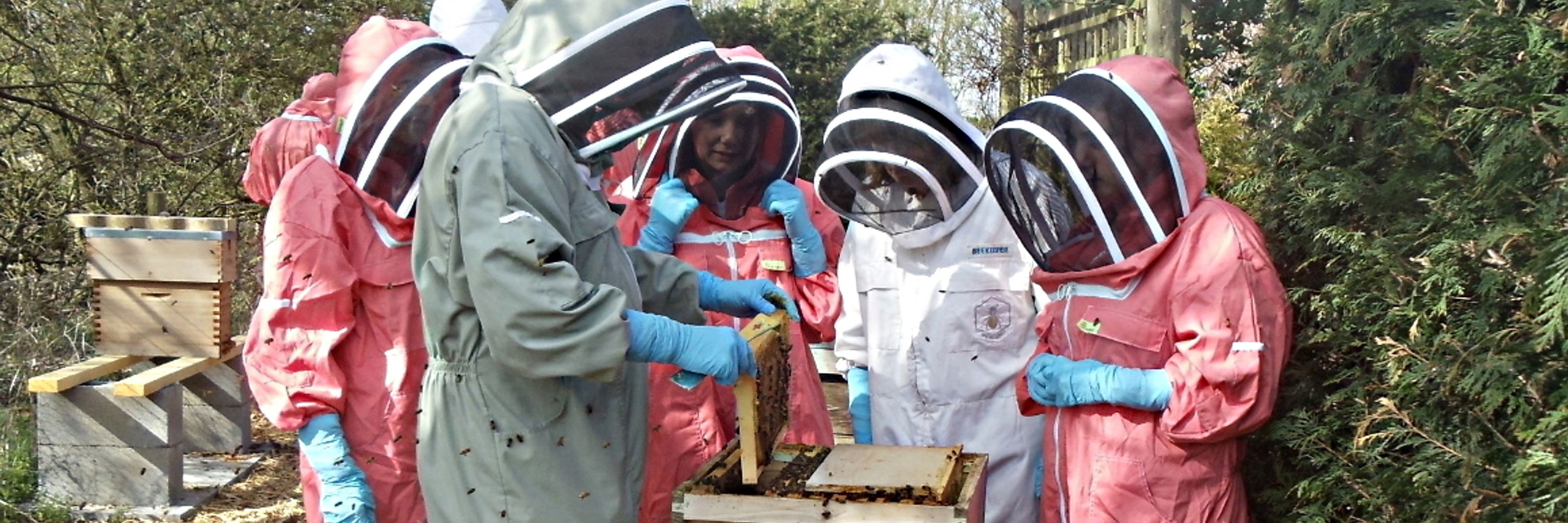 North Shropshire Beekeepers' Association