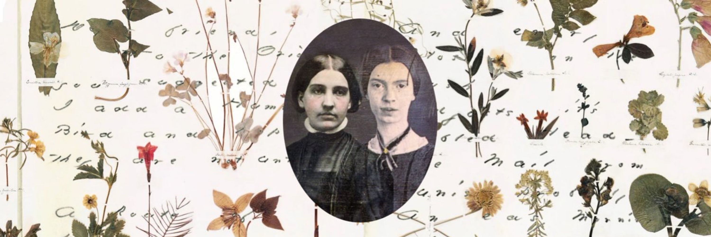 Emily Dickinson Bot