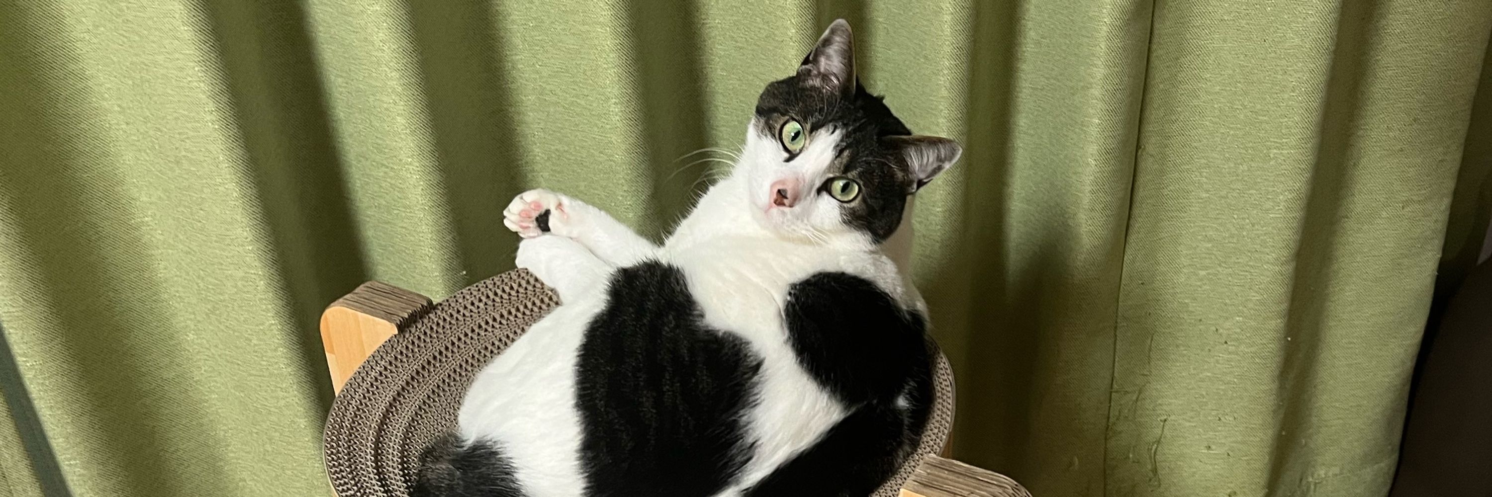 ﾜﾋﾞﾁｬﾝ大好き