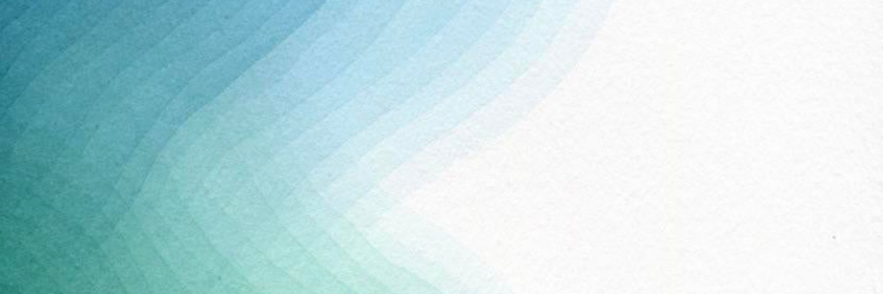 Shopify developer