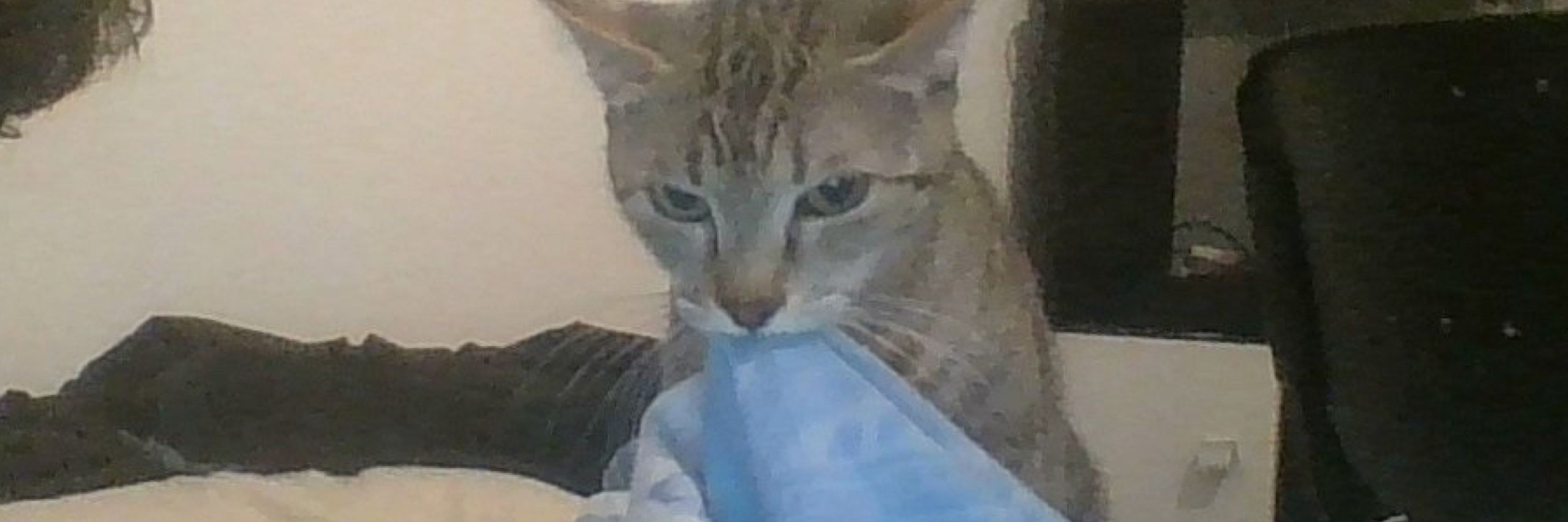 chelala