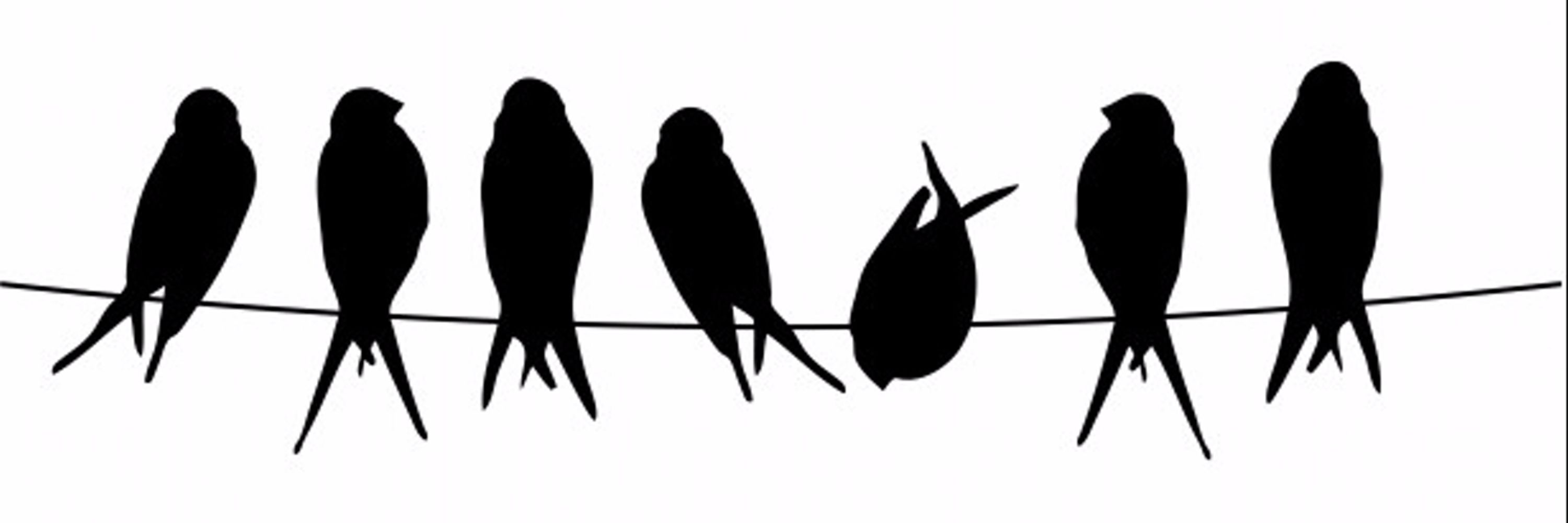 TweetSue