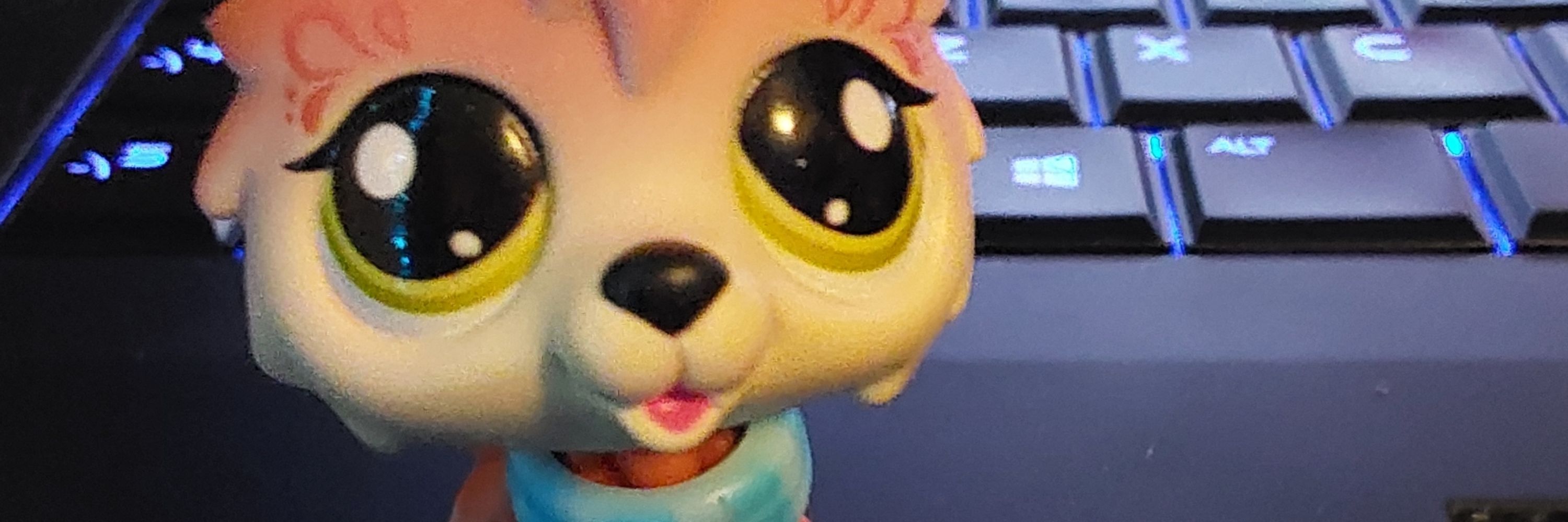 RAYYYYYY!!