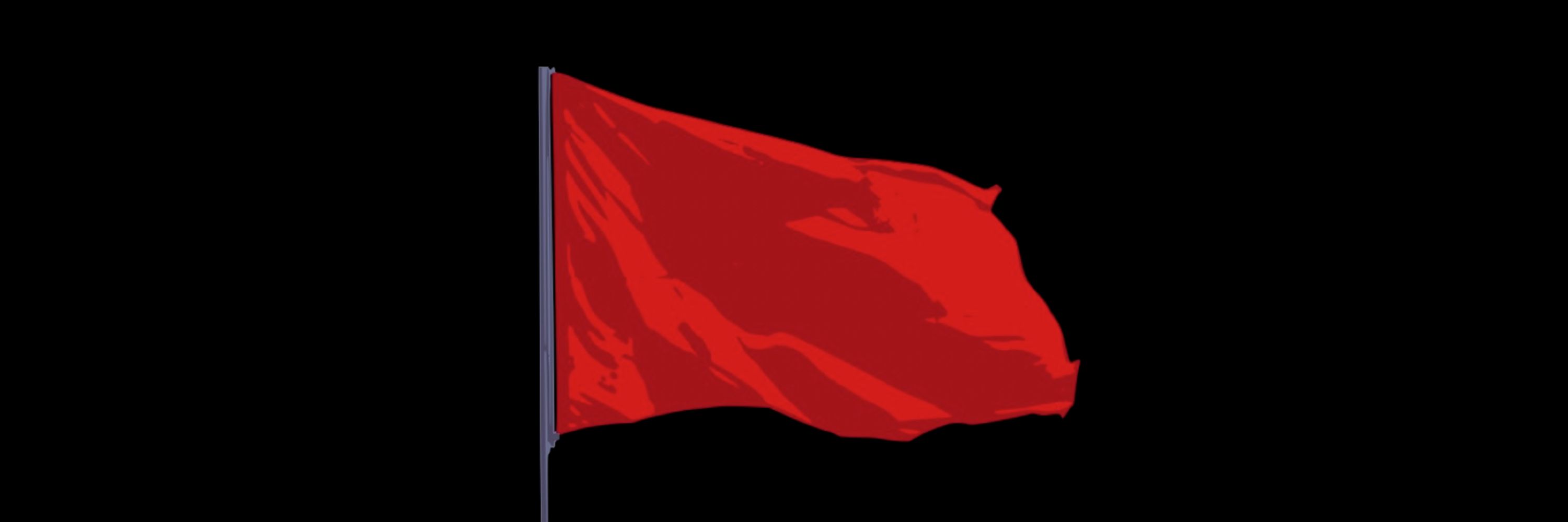 Socialists For a Democratic Union (SFDU)
