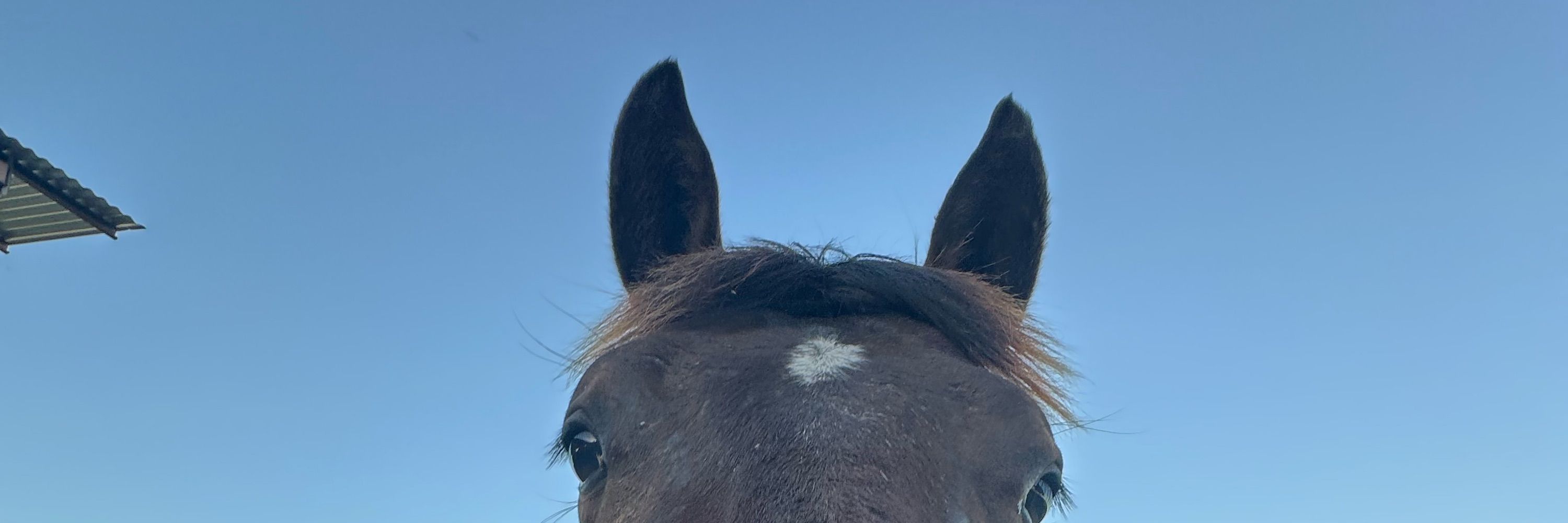 Isa_🧡