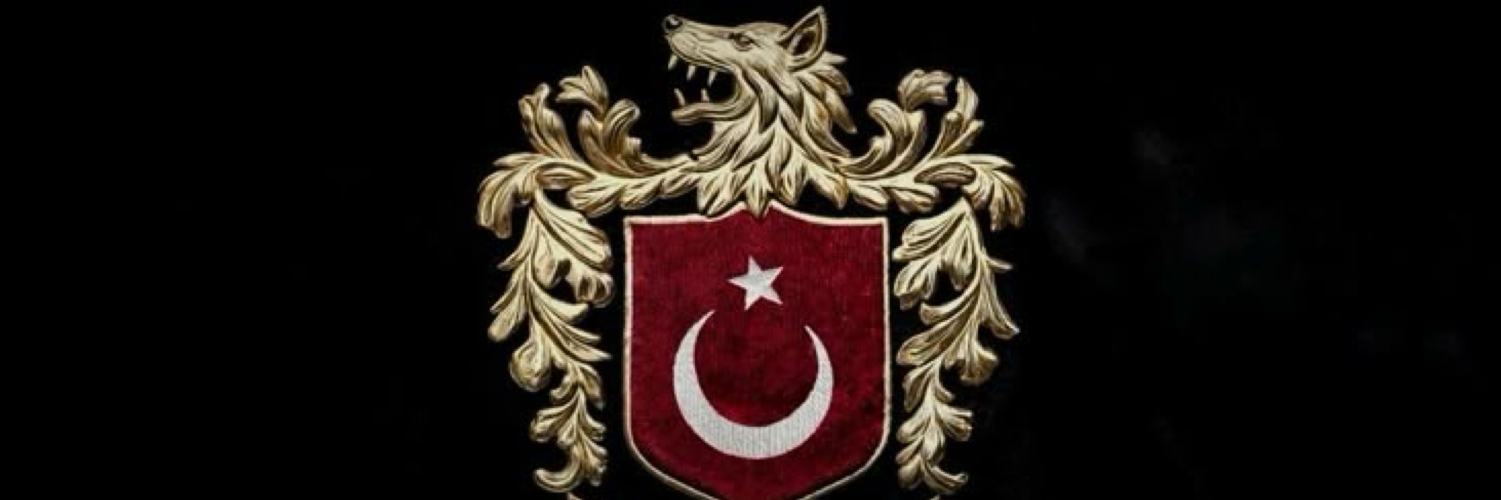 TÜRK
