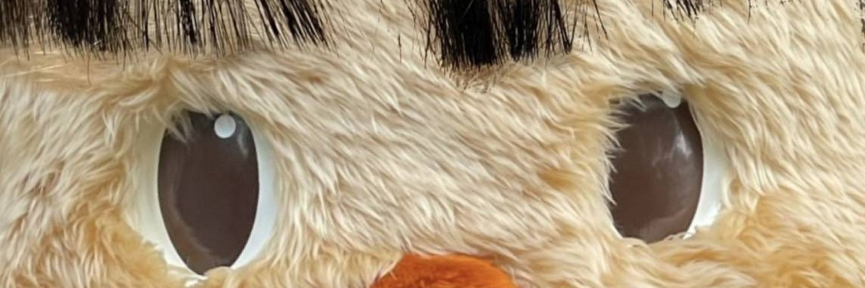 ʕ•ᴥ•ʔ