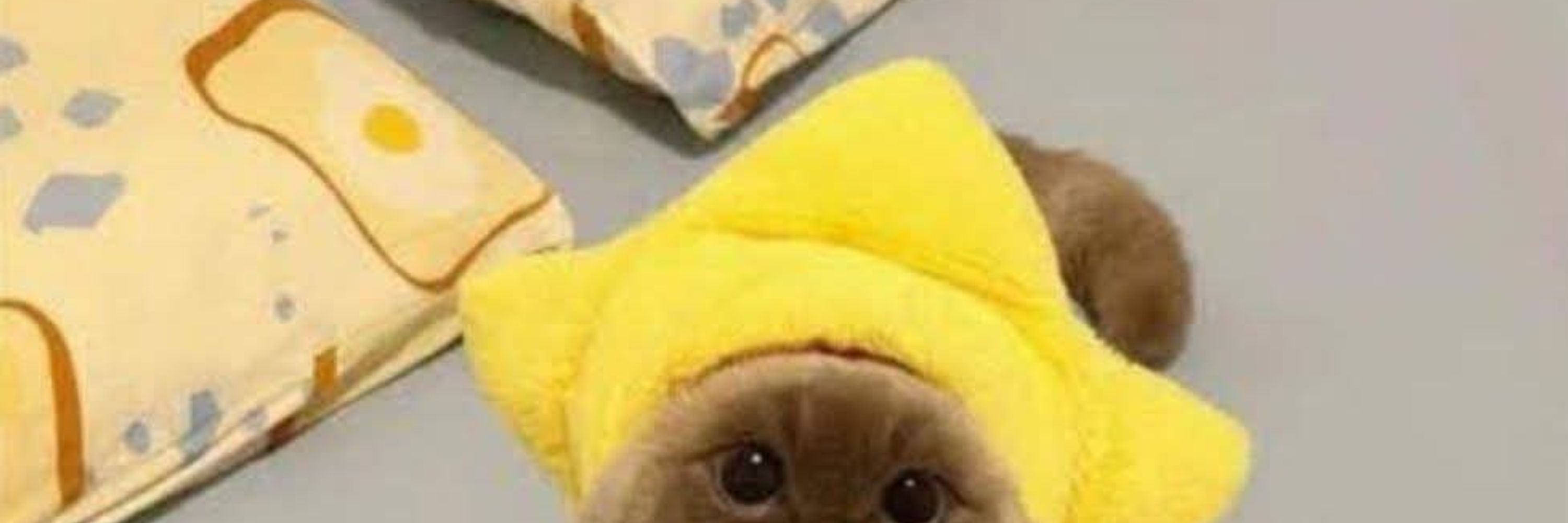 Parker, a fraggle