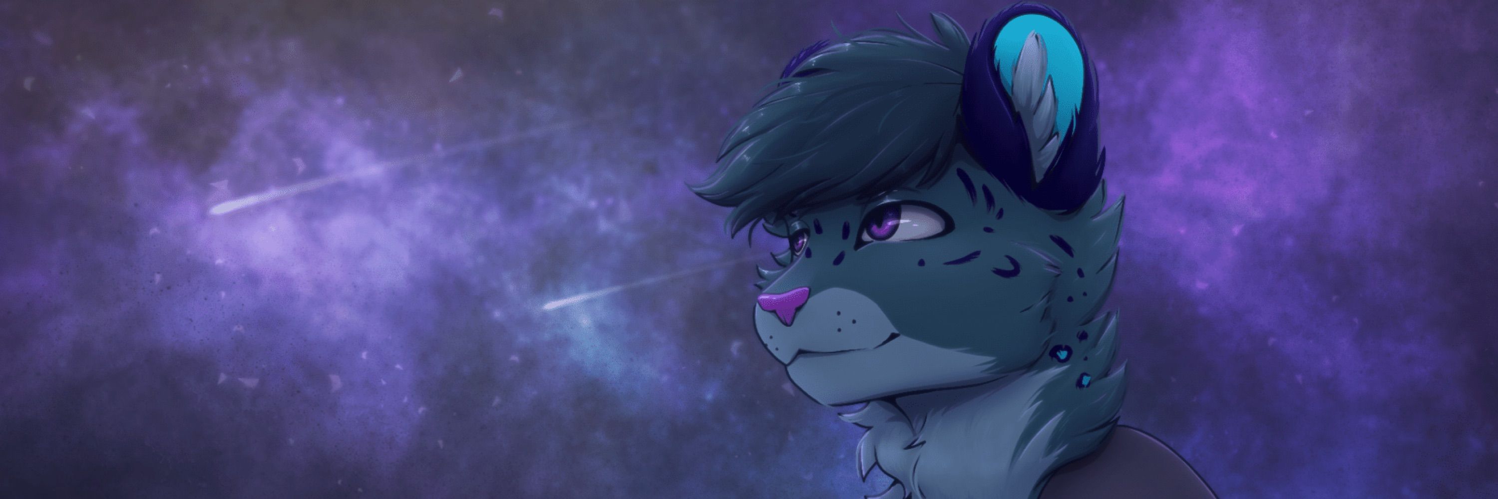 Kastor Nexus