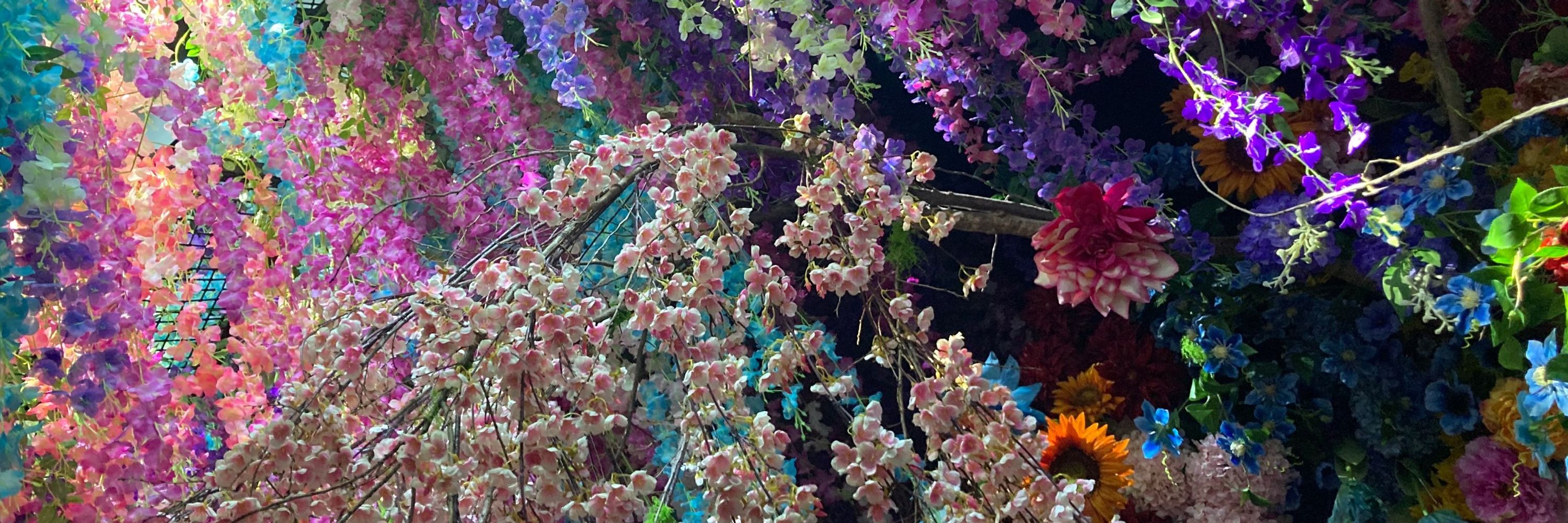 澄