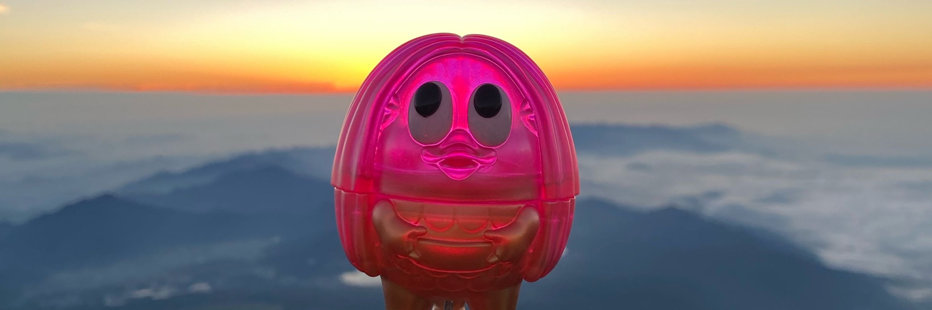 TARA