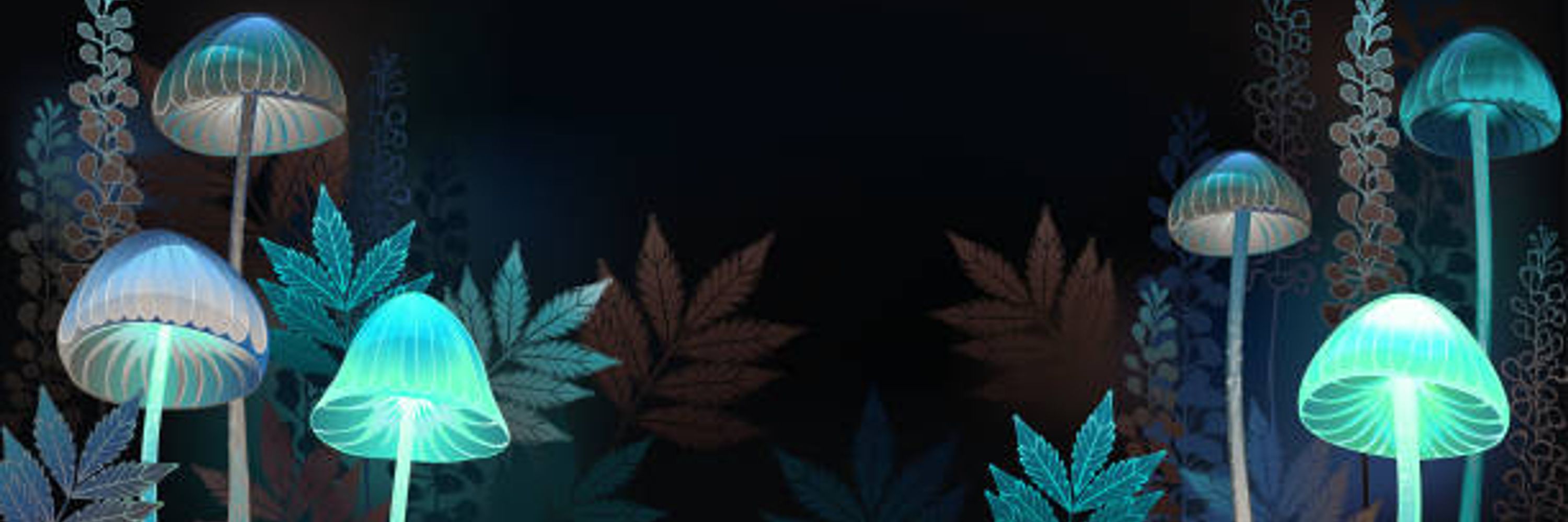 Raynblaze