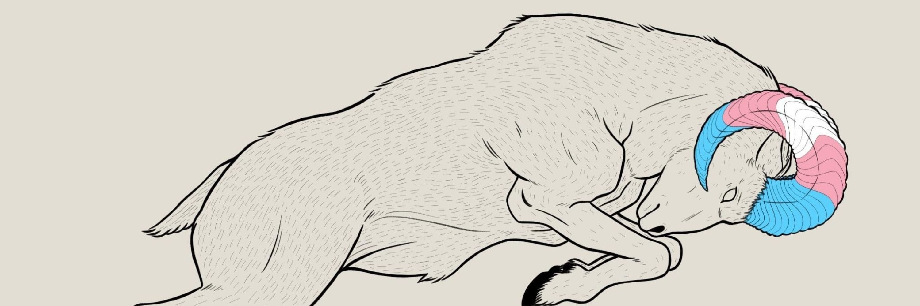 Grey_Inari