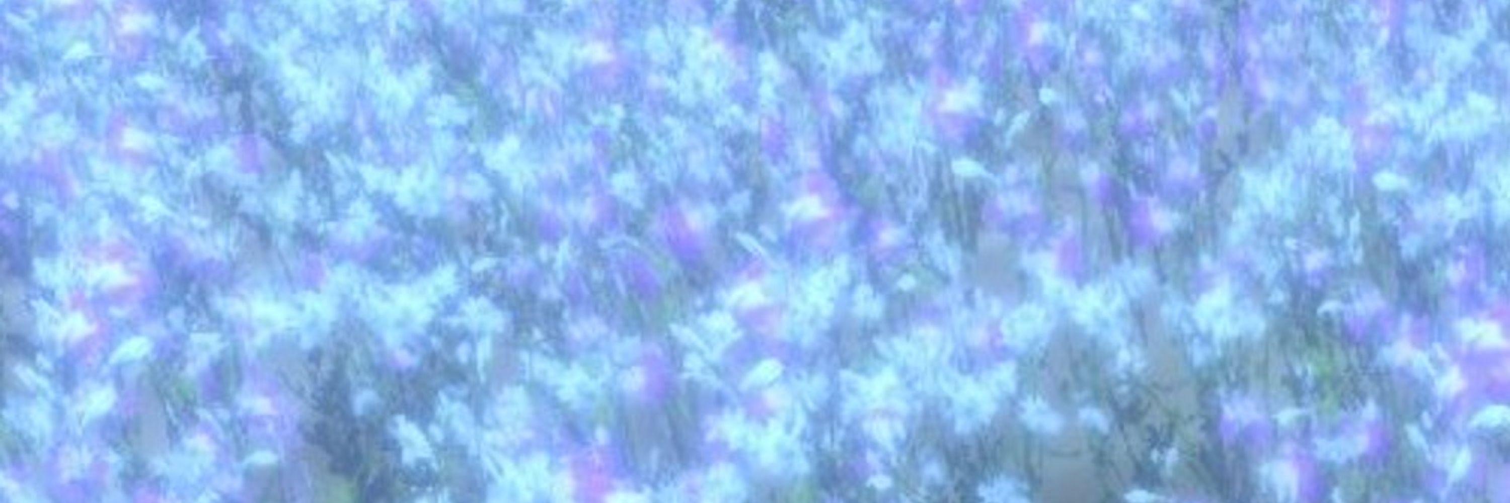 藍音（アノン）