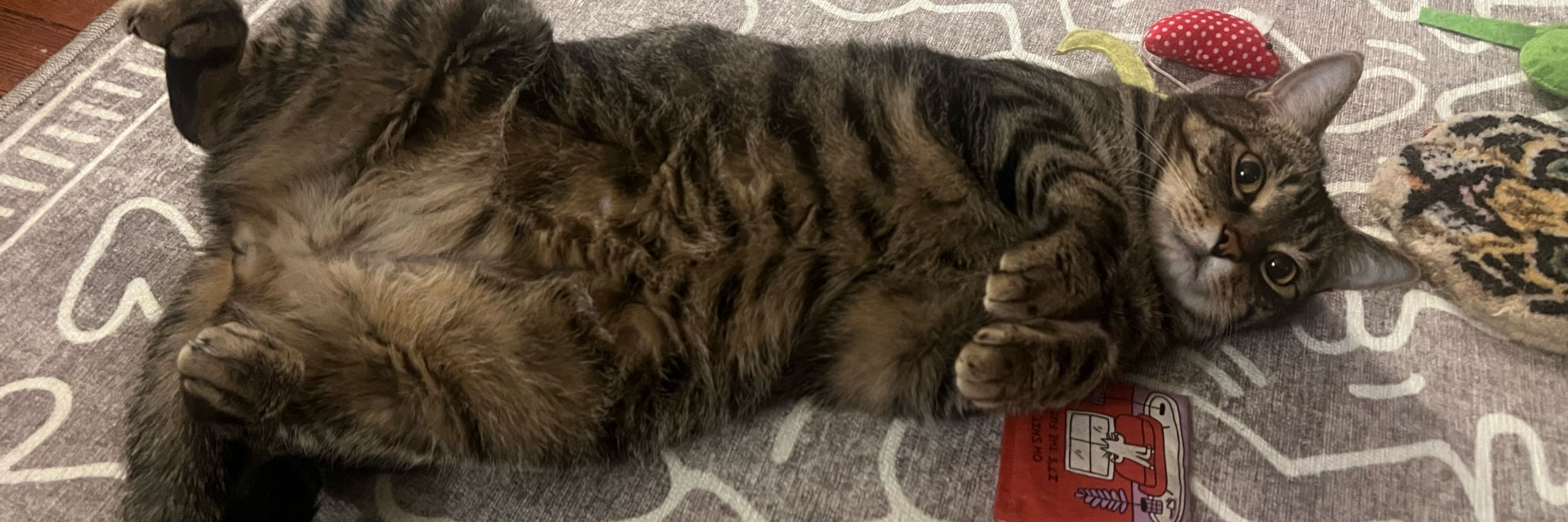 Feline Resistance