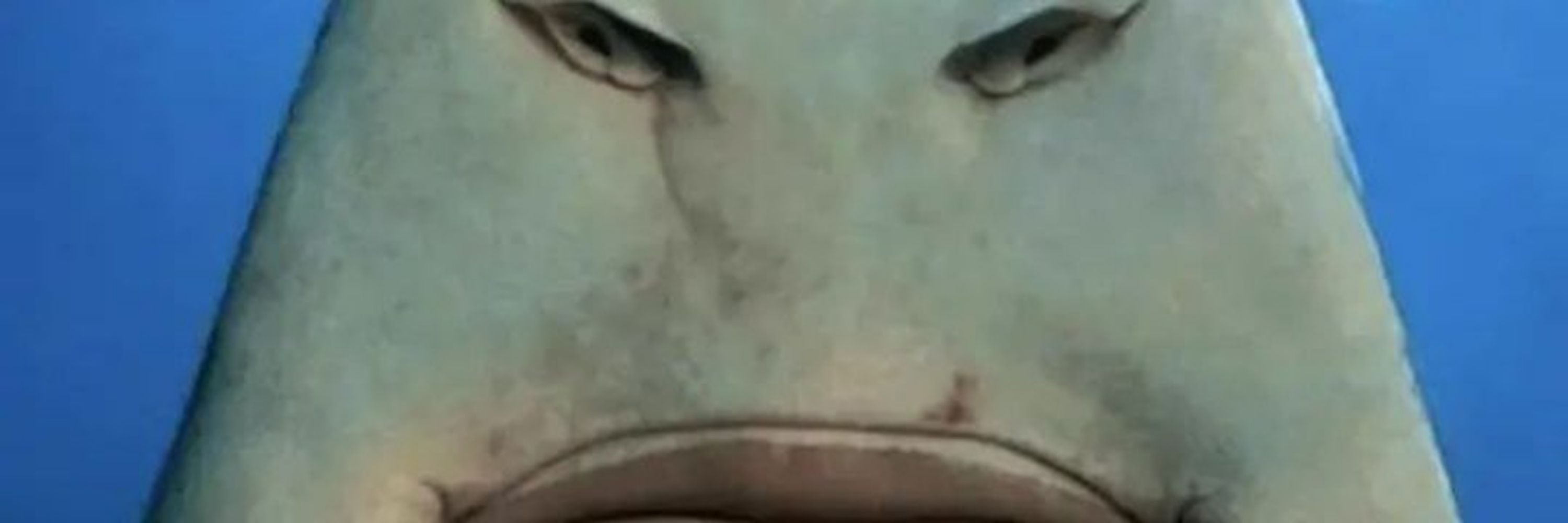 Yoykva