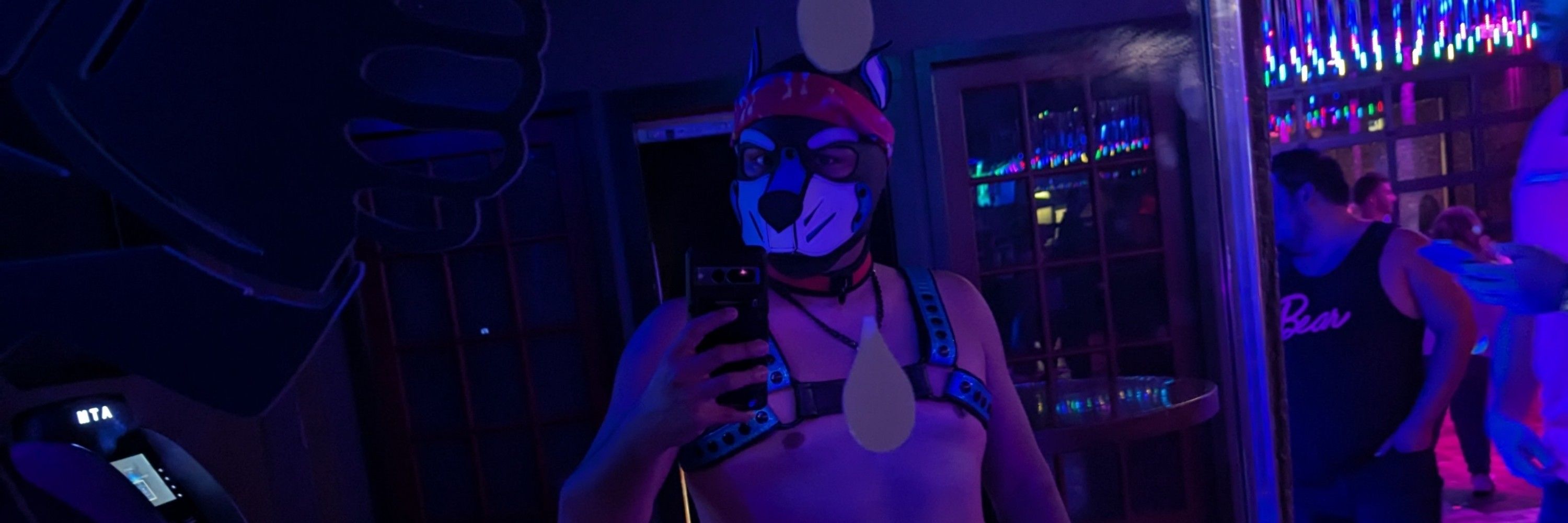 Pup Gizmo ⚙️