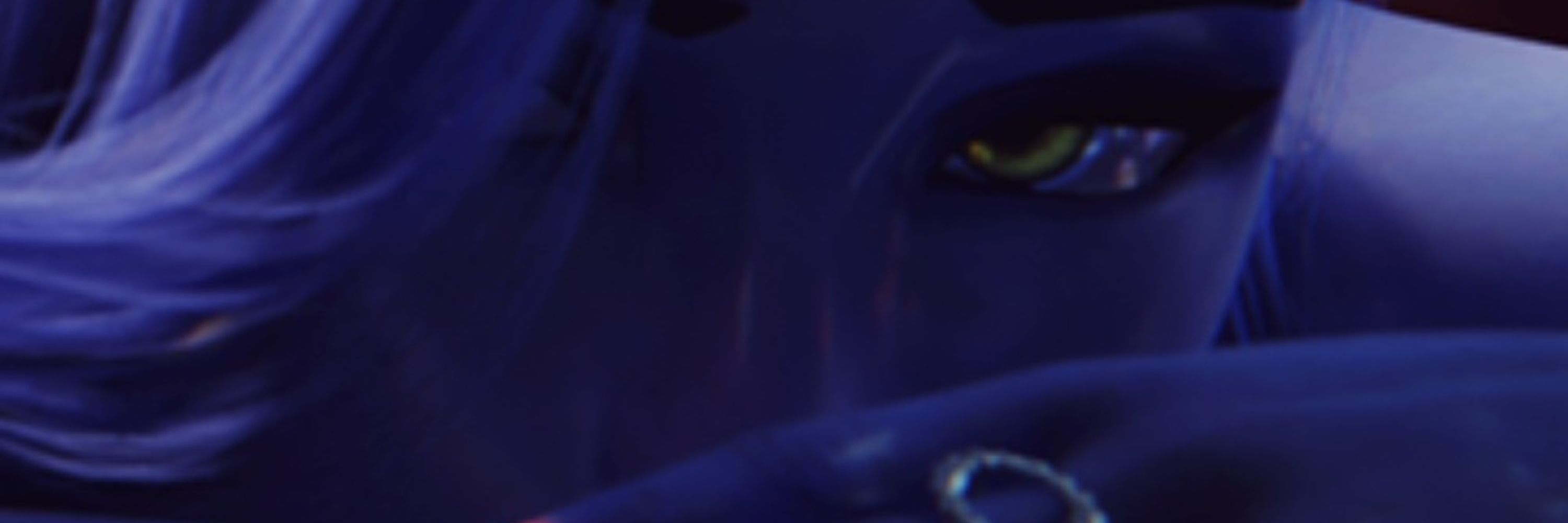 Junkerz