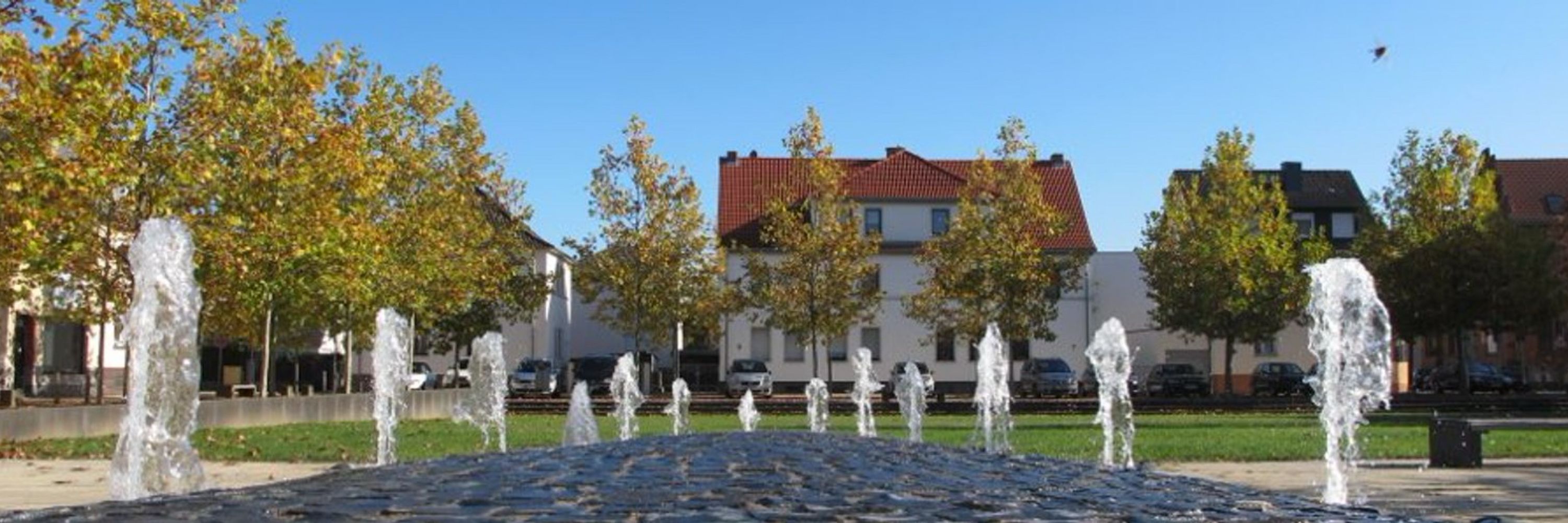 Das Heusenstämmchen