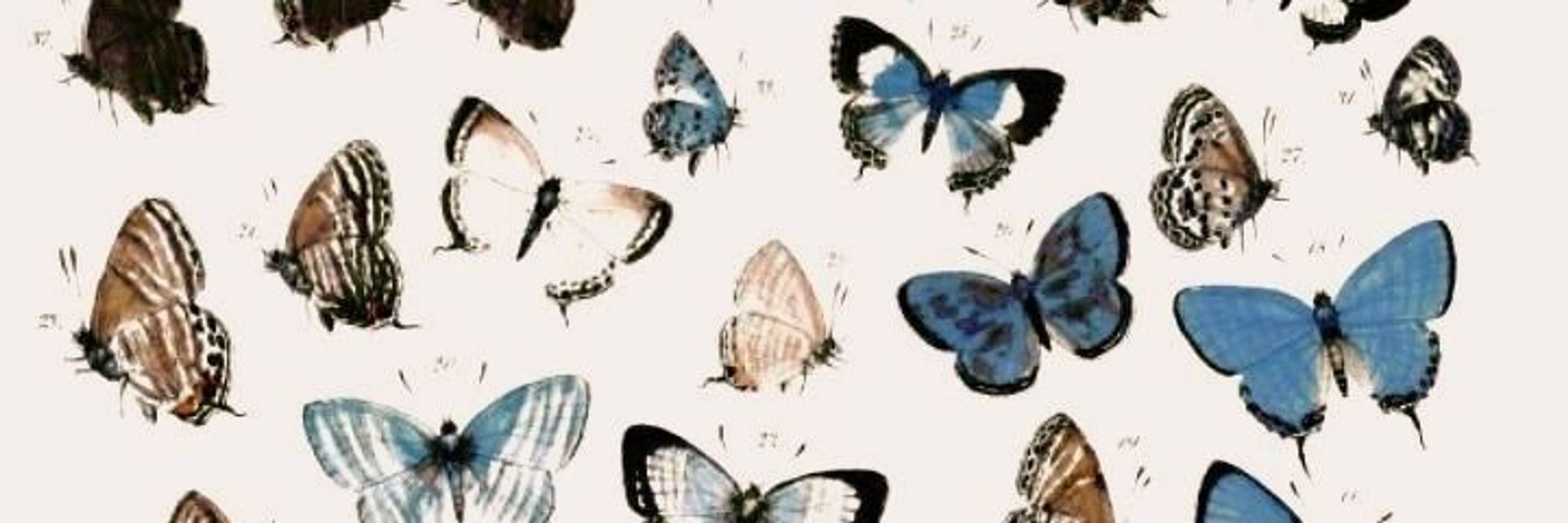 ‧₊˚ gina ✶ ࣪ ˖