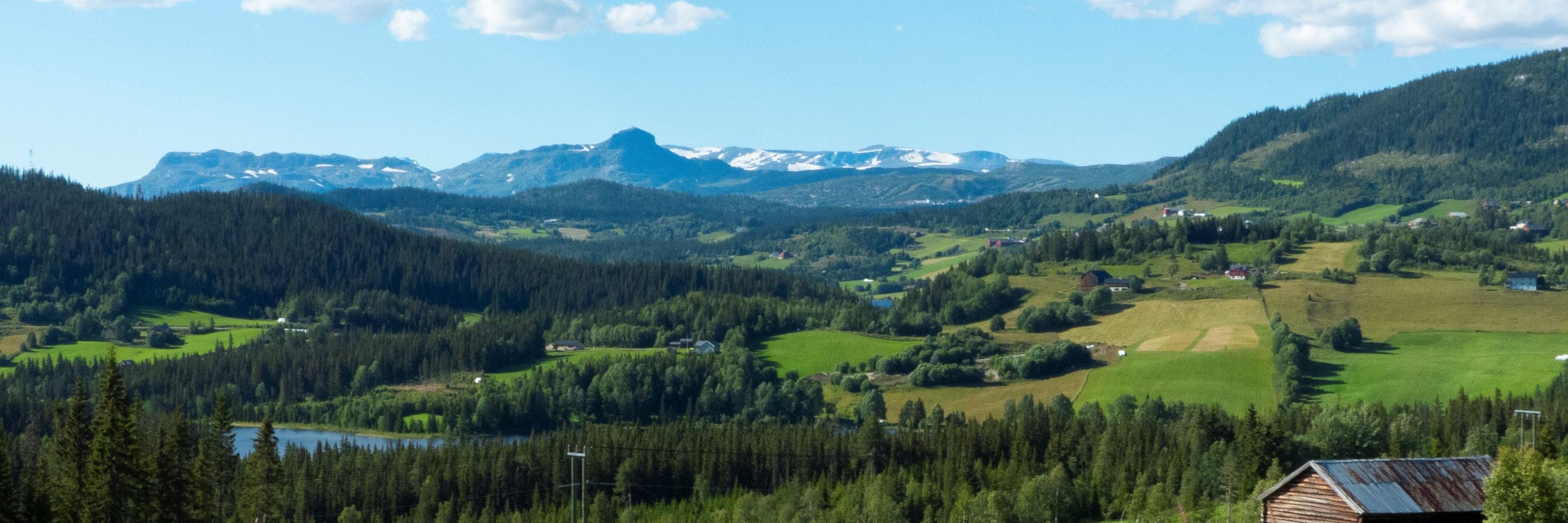 NIBIO Landskapsovervåking