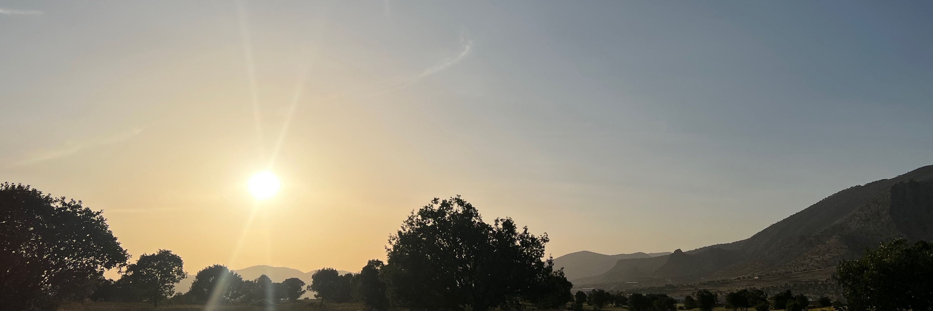 ماهی🌙