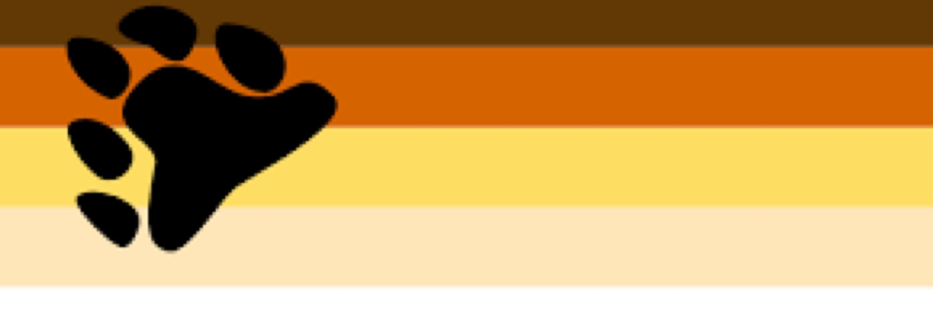 Dabearcub2003