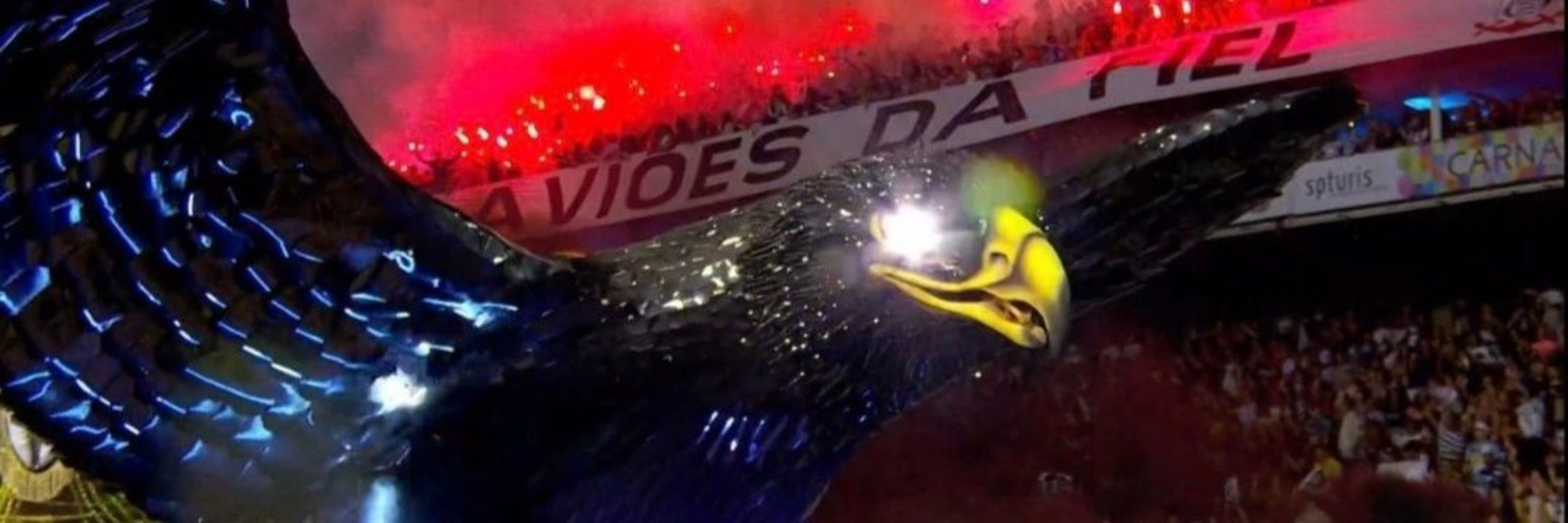 Binão última romântica 🕵🏾‍♀️🌹 // SCCP 🦅
