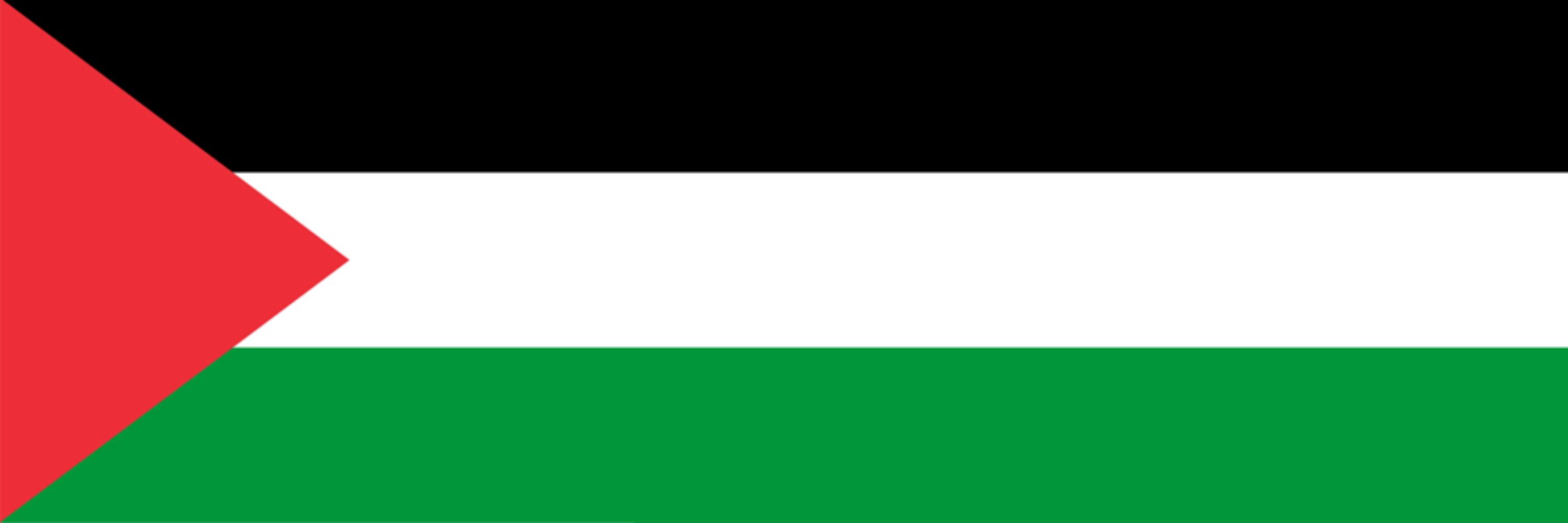R4f43l
