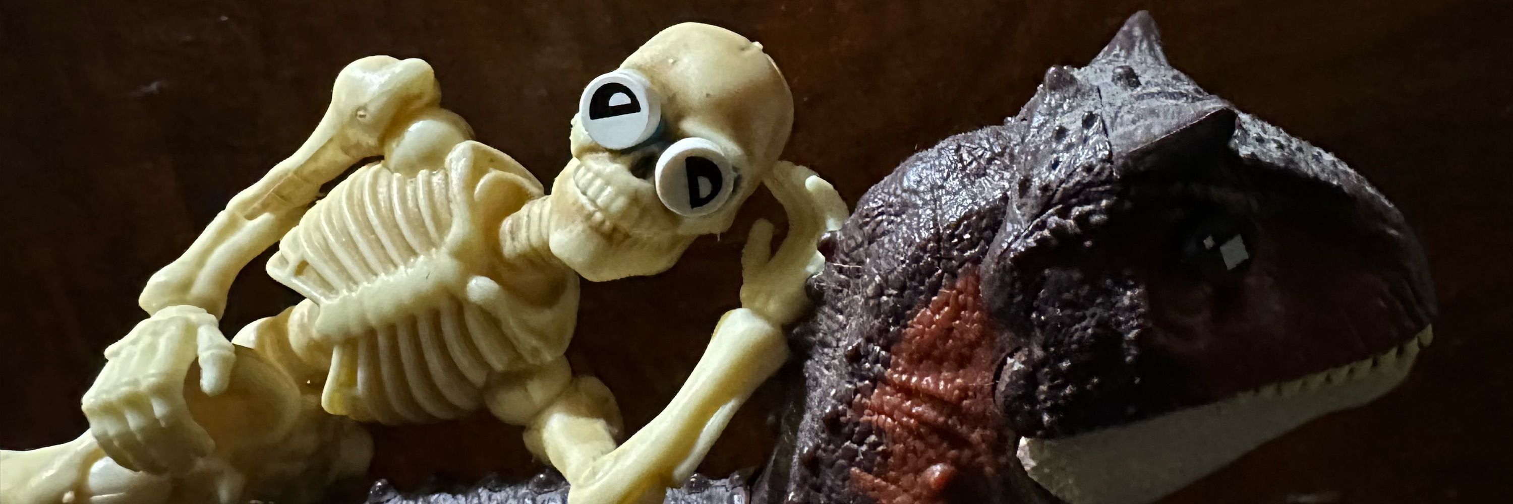 The Collector of Different Toy