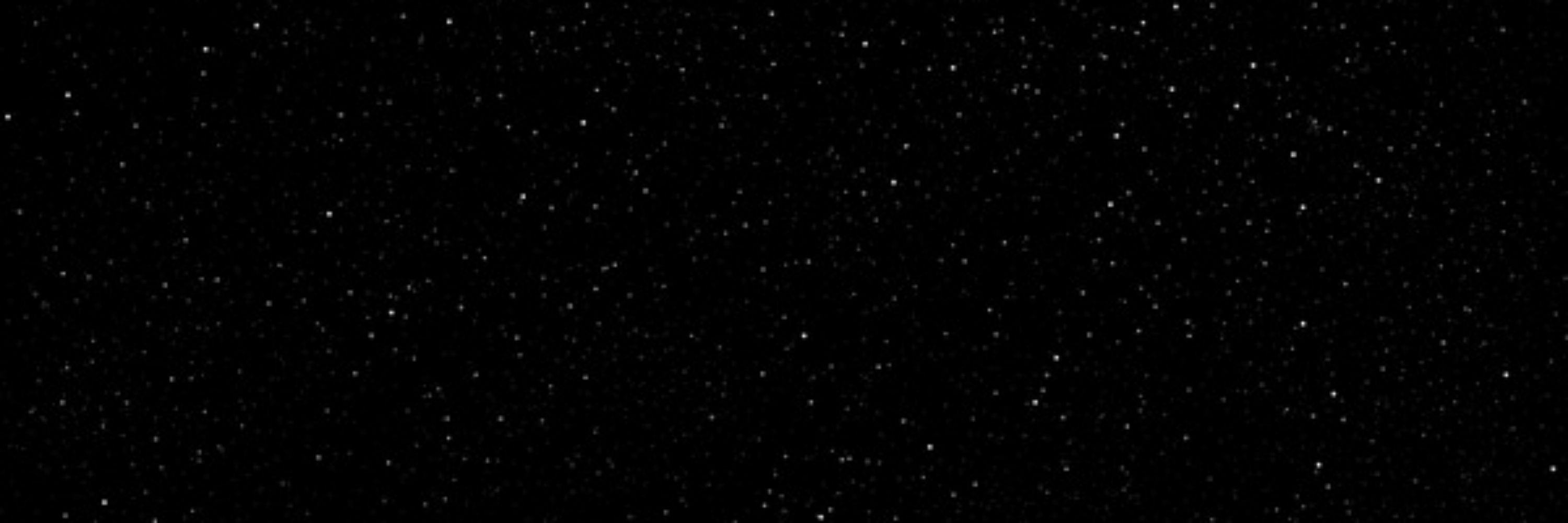 STAR?!