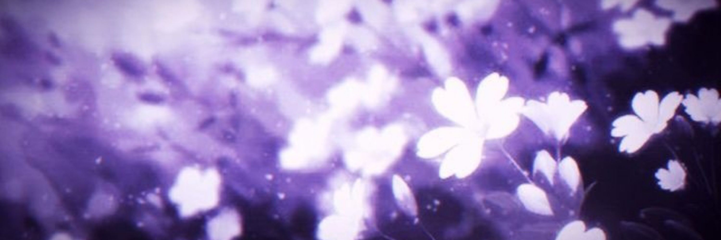 clodnnii ᶻ 𝗓 𐰁 .ᐟ