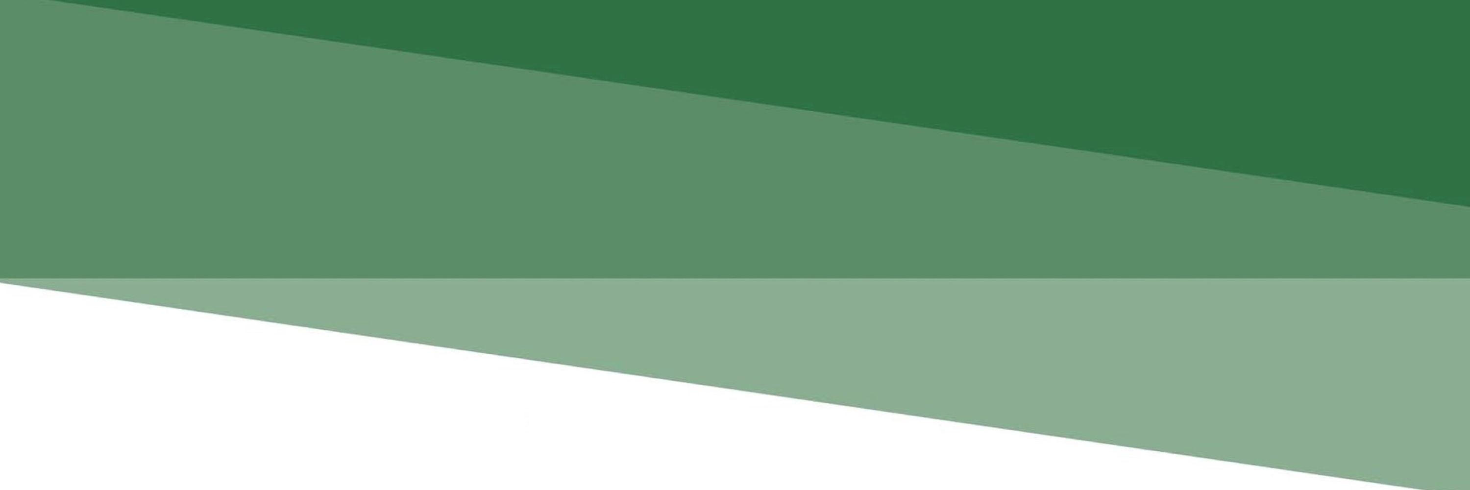 Advances in Group Processes