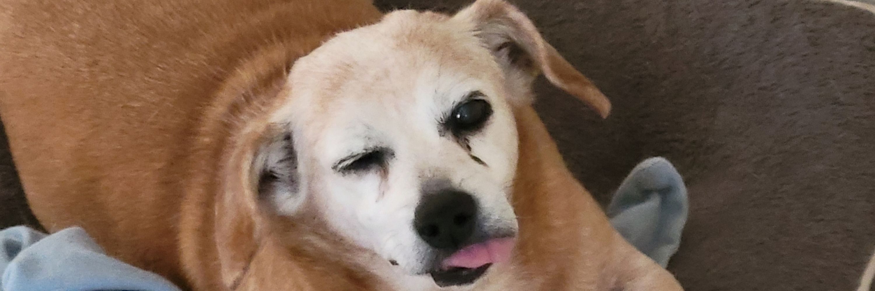 Augustus