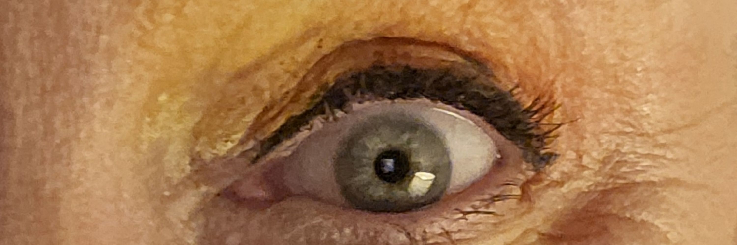 EYE ON TRUMPTARDS