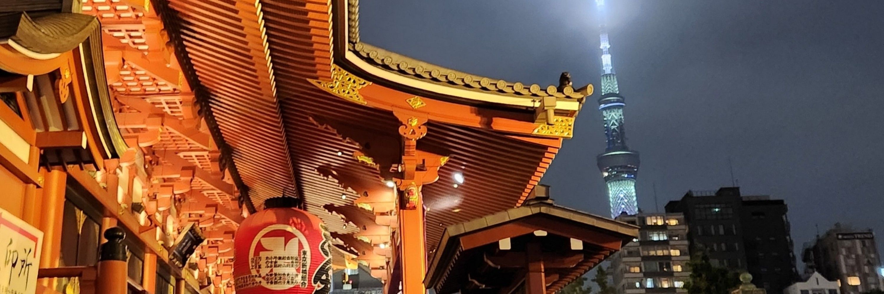 TagayaRozhy（古5マロ）