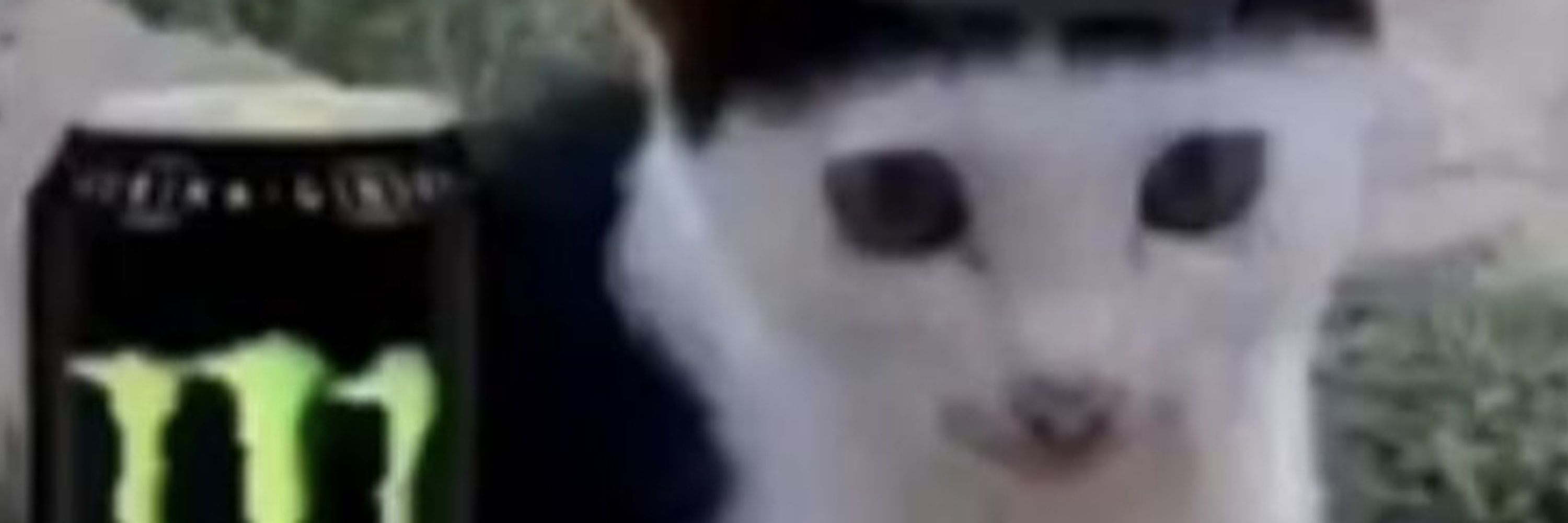 Frits: The Evil Overlord